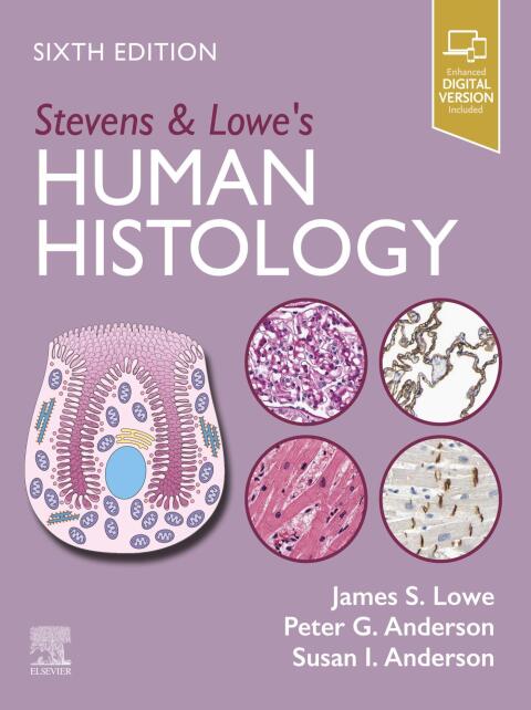 Stevens & Lowe's Human Histology